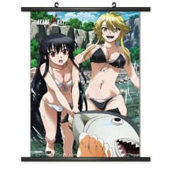 Akame and Leone Swimsuit Wallscroll