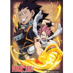 Natsu and Gajeel Wallscroll